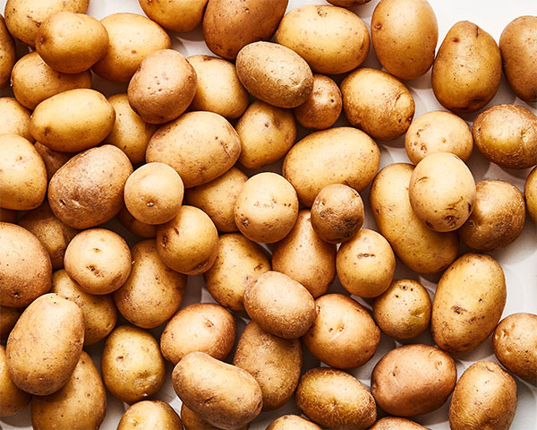 Potato